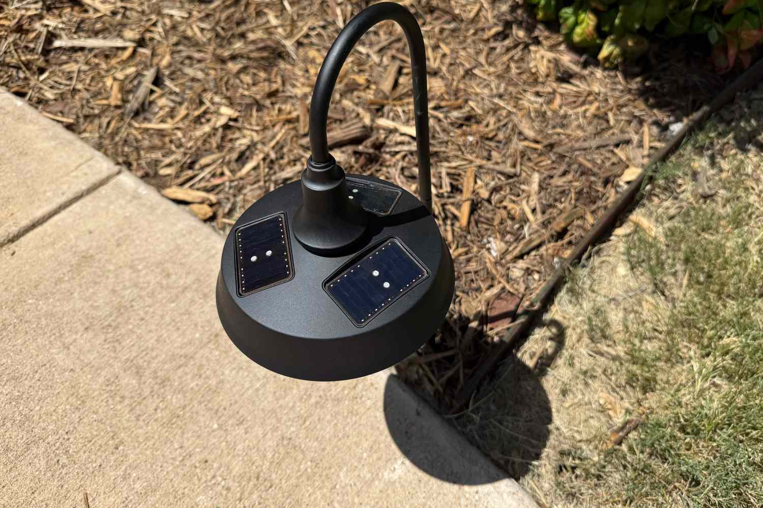 Flush-mount in-ground solar lights along a driveway