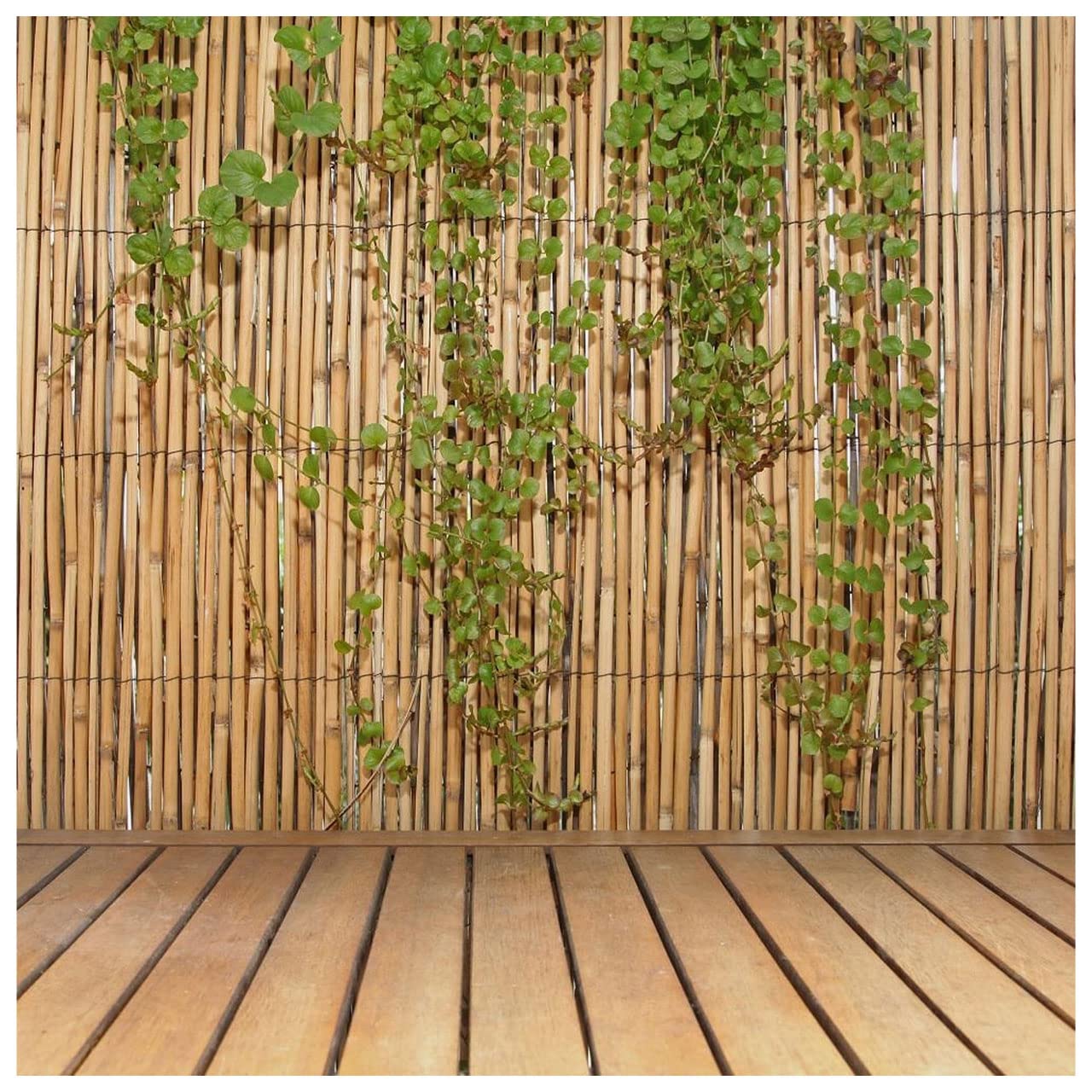 Natural bamboo reed fencing along a patio border