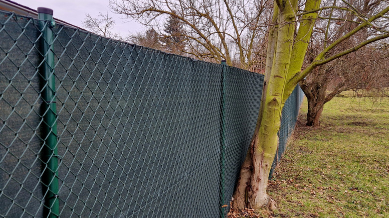 Privacy fence screen attached to a chain link fence