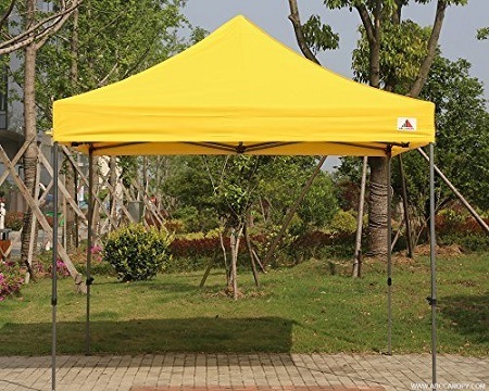 ABCCANOPY King Kong Series 10x10 Commercial Instant Canopy