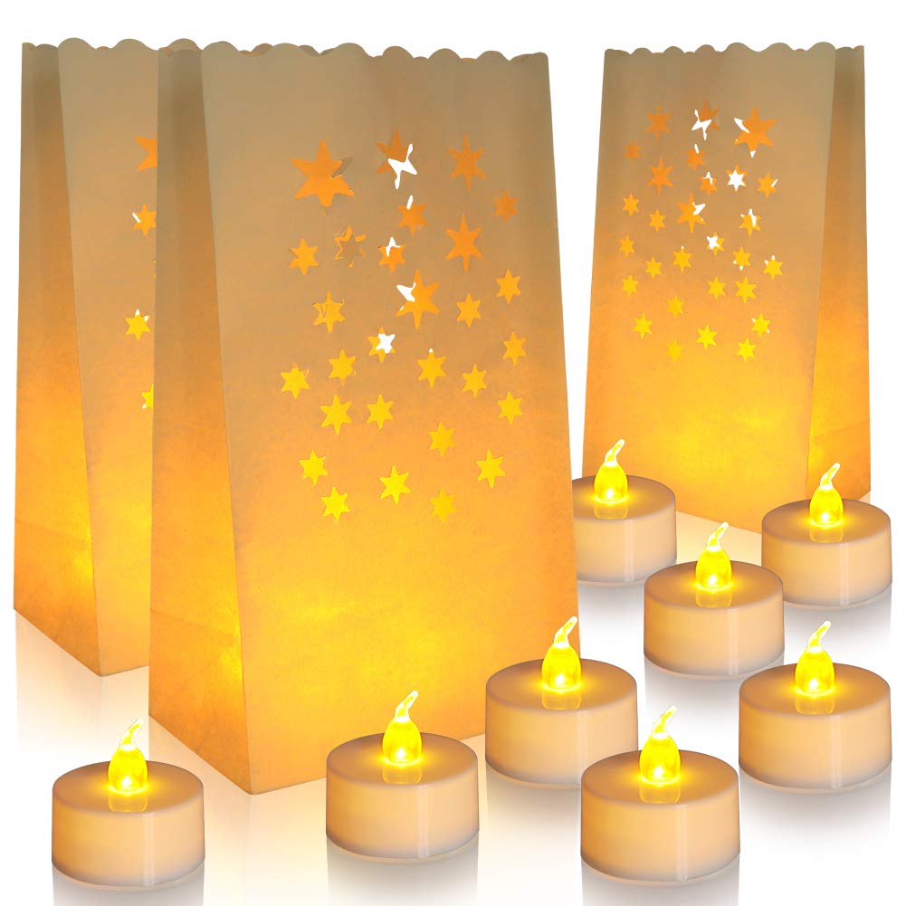 Banberry Designs Christmas Luminaria Bags with LED Tea Lights, Set of 18