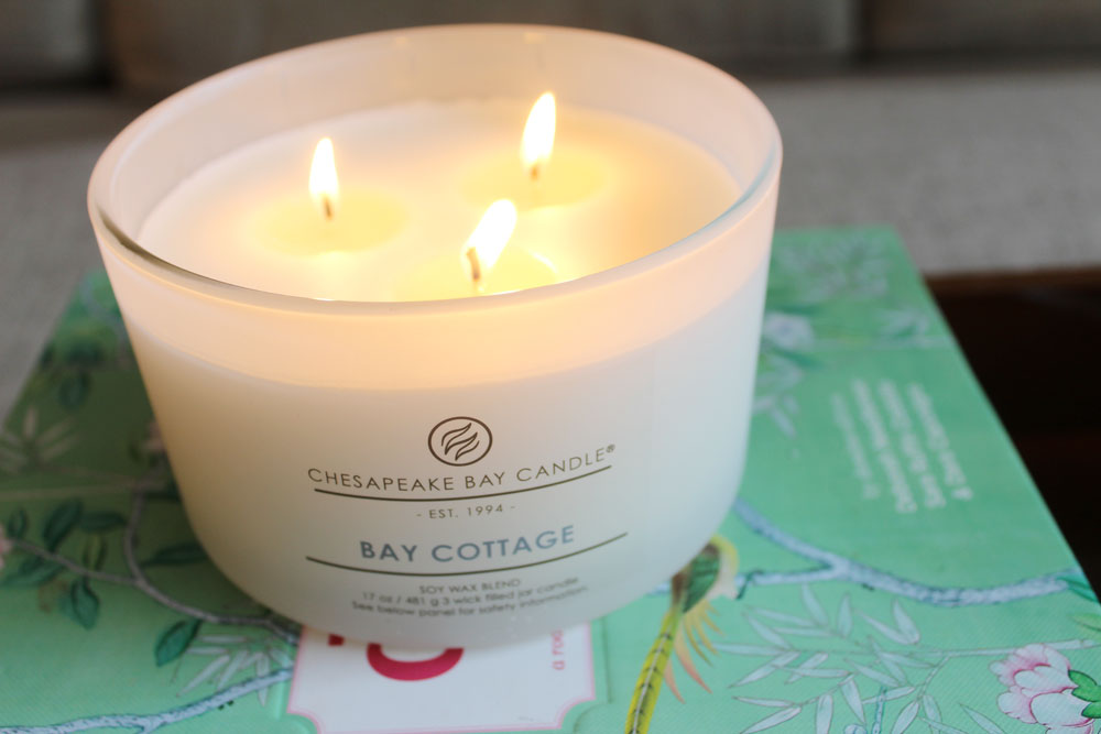 Chesapeake Bay Candle Outdoor Living Citronella Large Jar