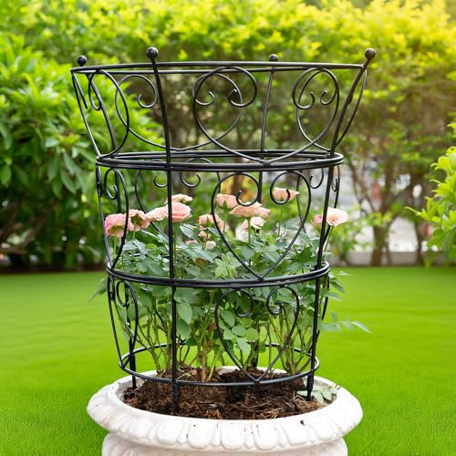 Clovers Garden Large Premium Obelisk Trellis for Climbing Plants