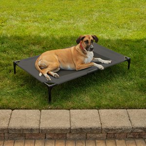 Coolaroo Steel-Framed Elevated Dog Bed