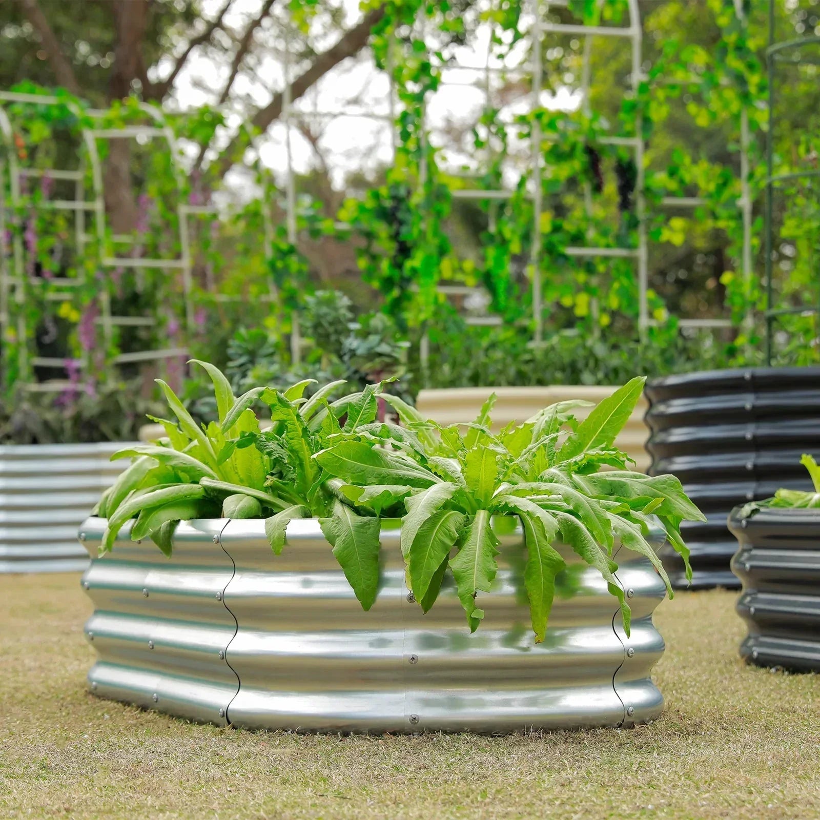 FOYUEE Galvanized Raised Garden Bed with Trellis 68 Inch