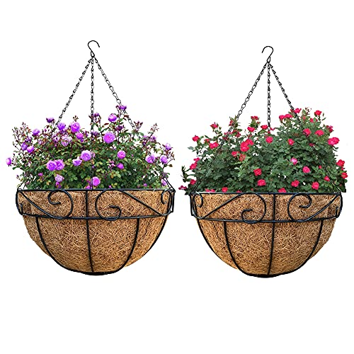 Growneer 12-Inch Metal Hanging Planter Baskets with Coco Coir Liner, 3-Pack