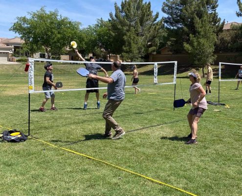 Best Backyard Pickleball Sets 2026
