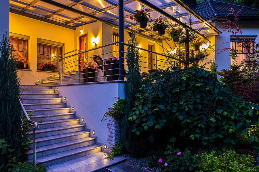 Best Landscape Uplights for Backyard Trees