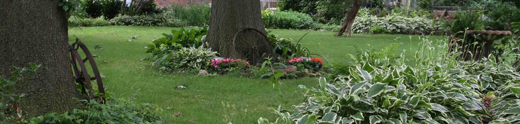 Best Patio Furniture Sets for Shady Backyards