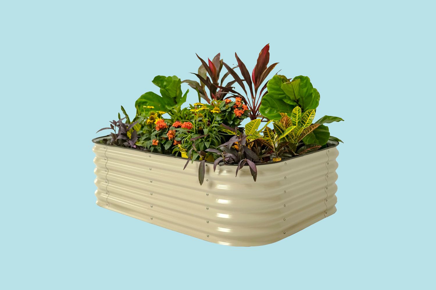 Best Raised Garden Bed Kits for Backyard Veggies