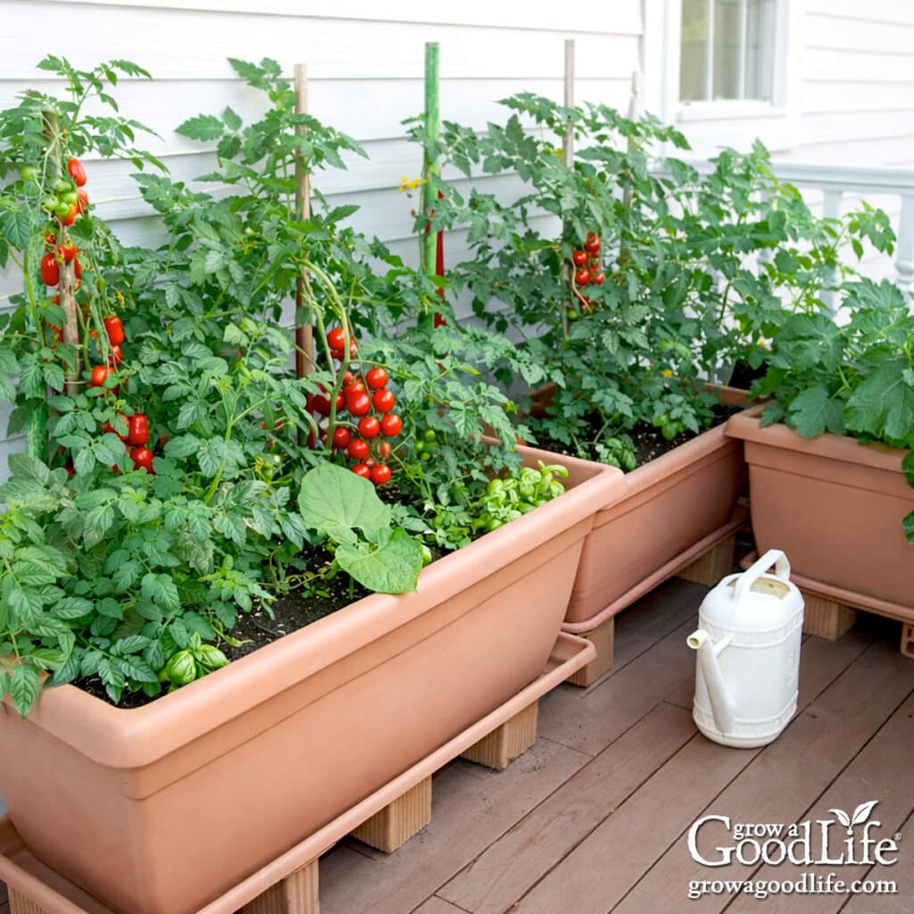 Best Raised Veggie Planter Boxes for Decks and Patios