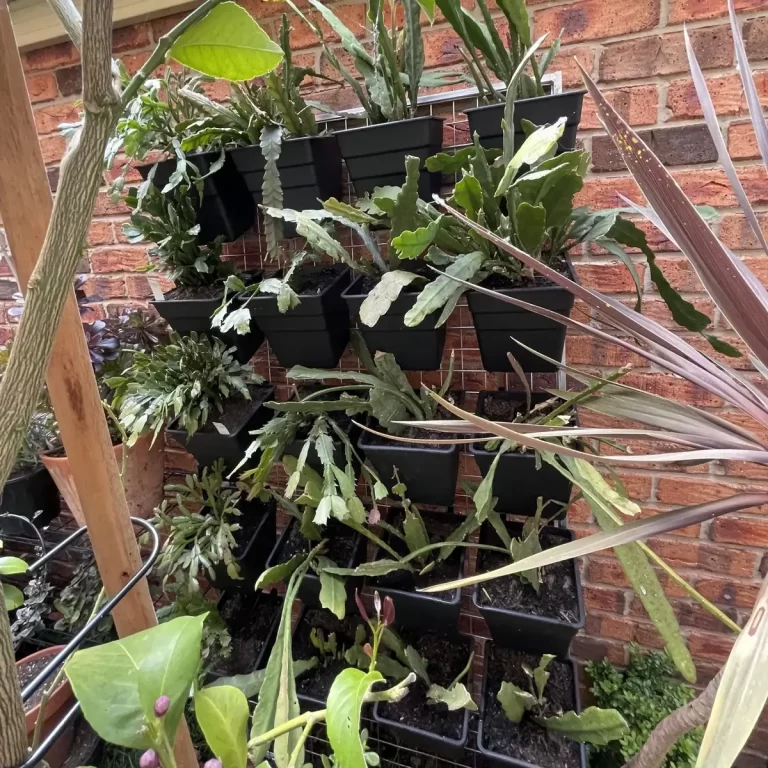 Best Vertical Planters and Living Wall Kits