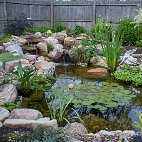 How to Build a DIY Backyard Pond or Water Garden