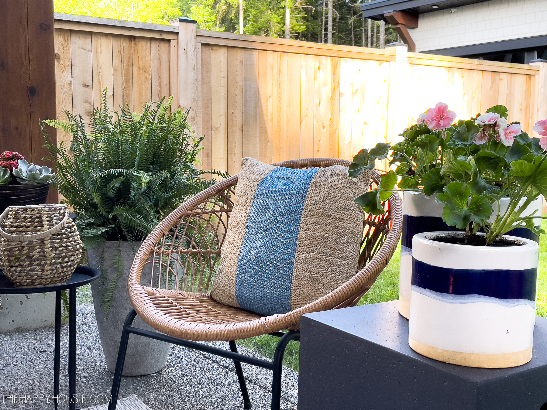 How to Build a Dog-Friendly Backyard Patio