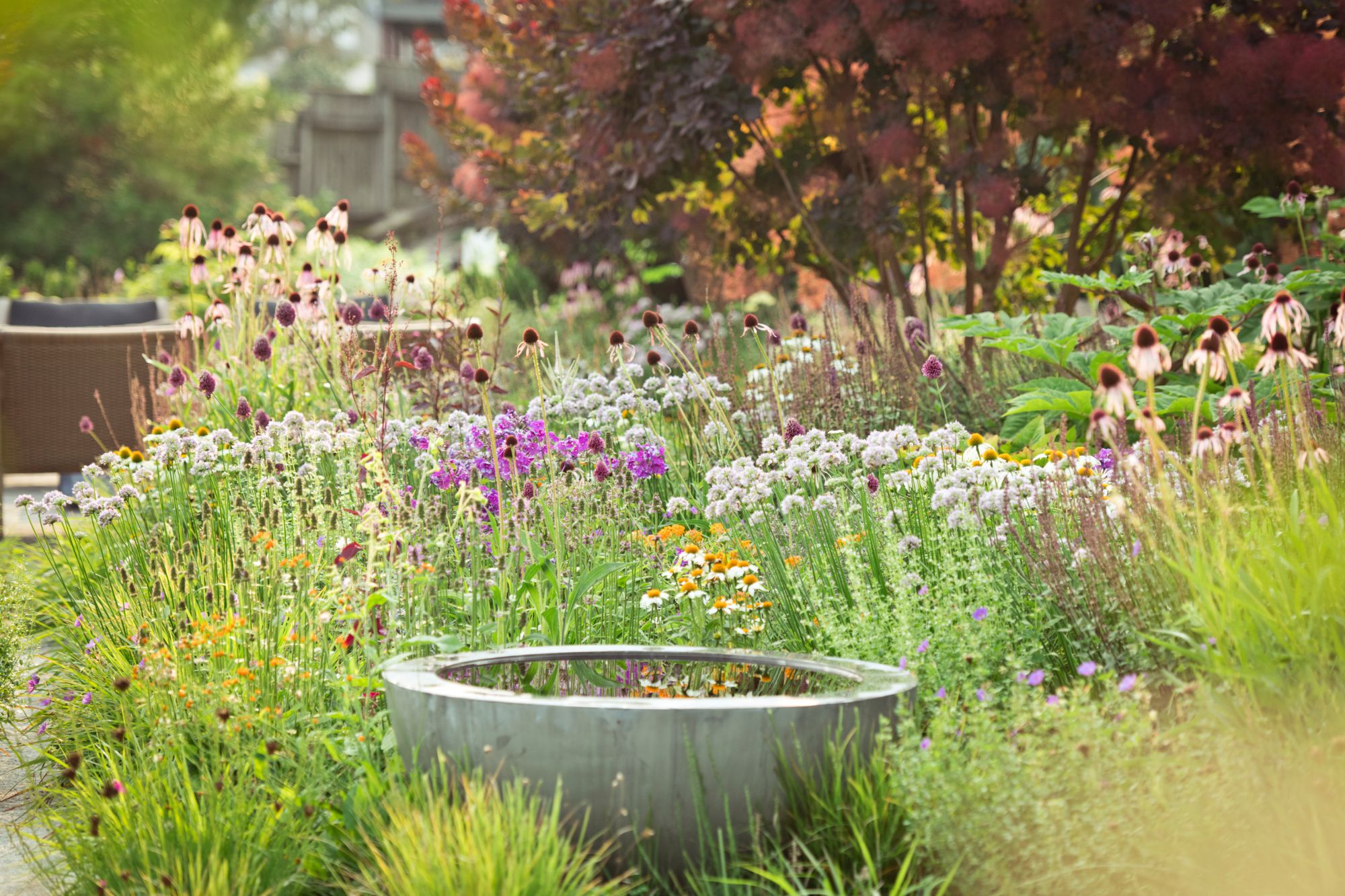How to Create a Pollinator Garden on Your Patio