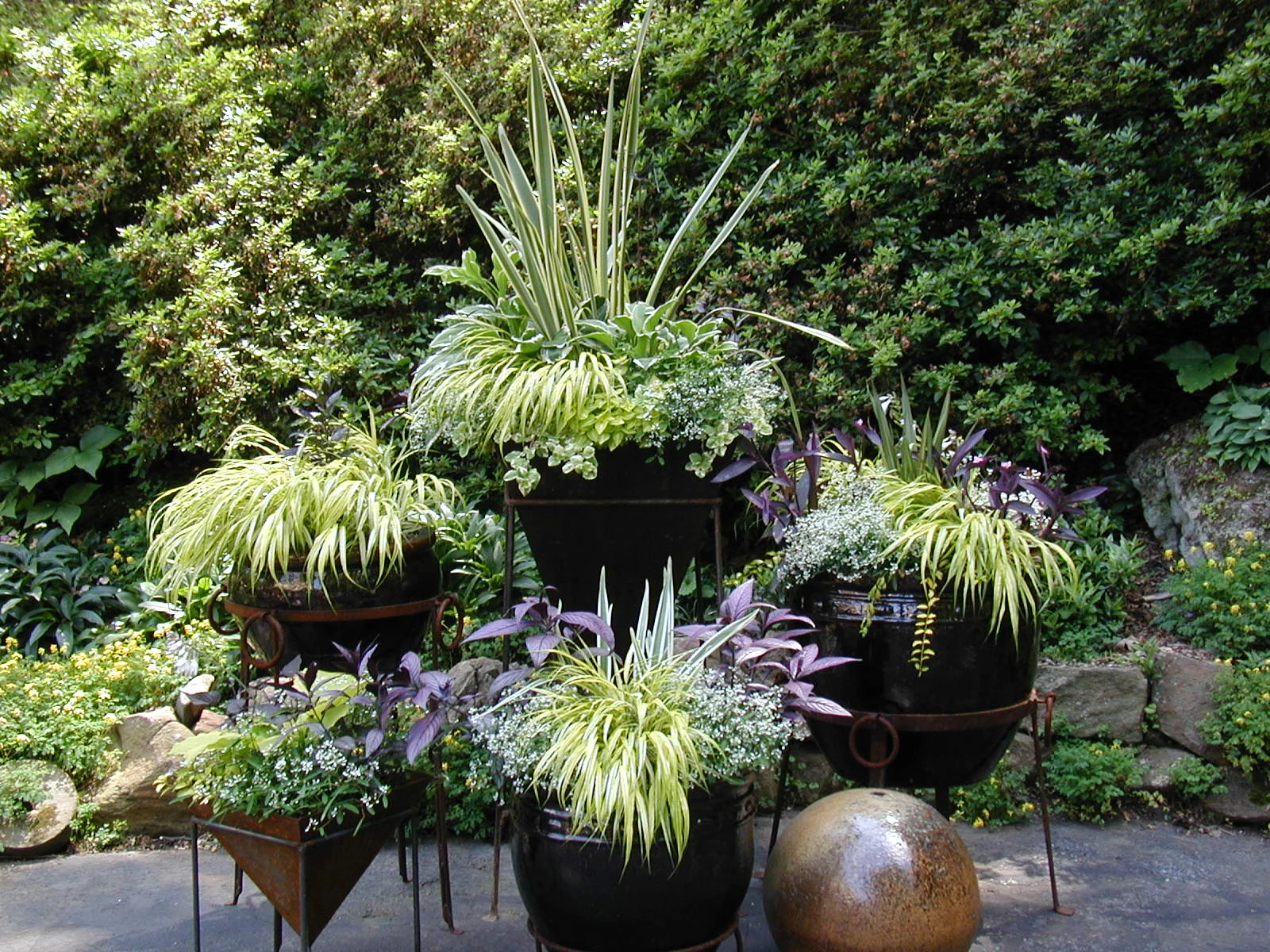 How to Create a Shade Garden Around Your Patio