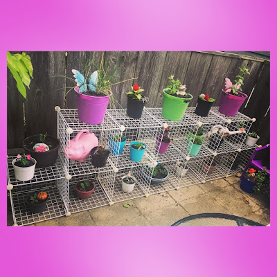 Patio Herb Garden Setup Guide for Containers