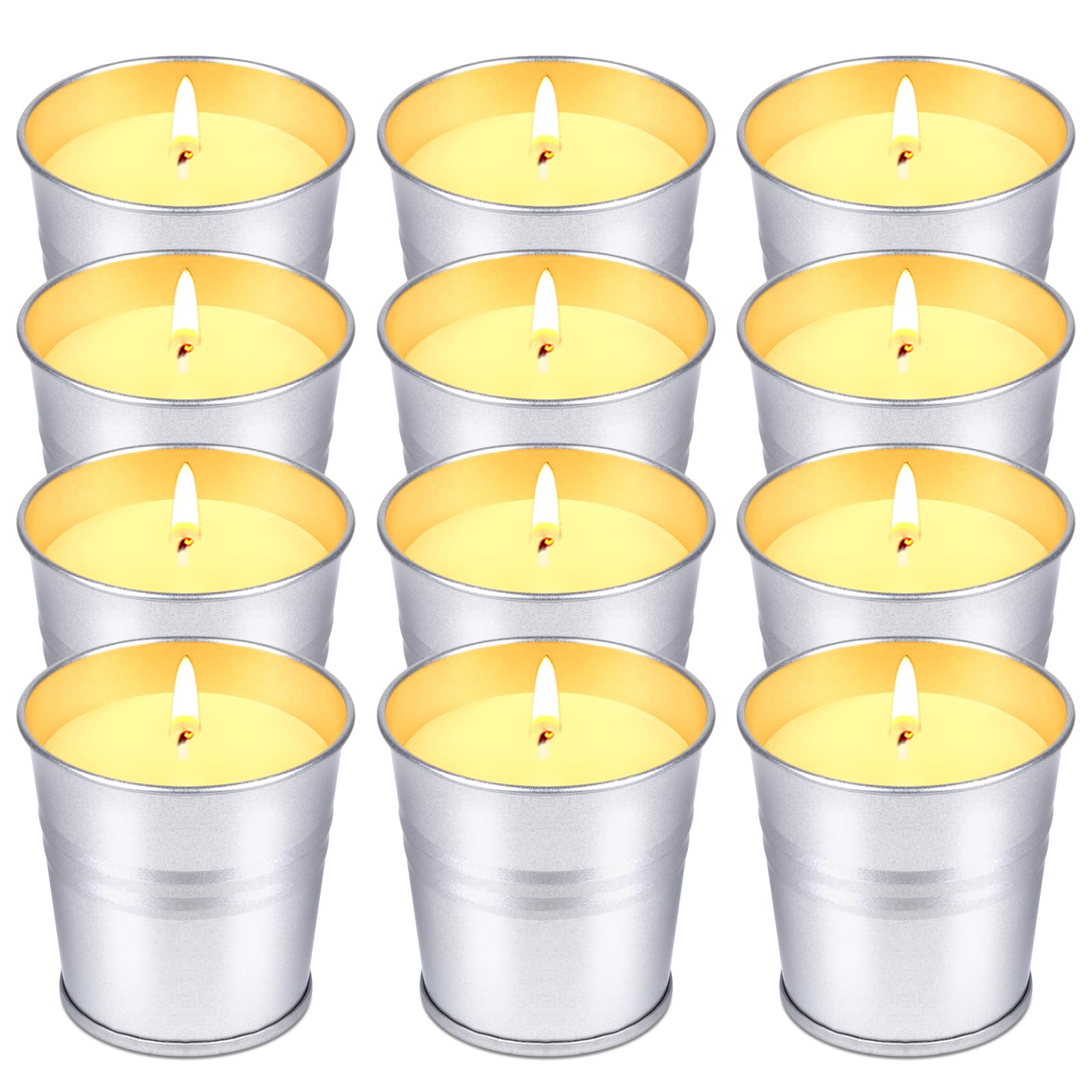 Hyoola Citronella Torch Candles (12-Pack)