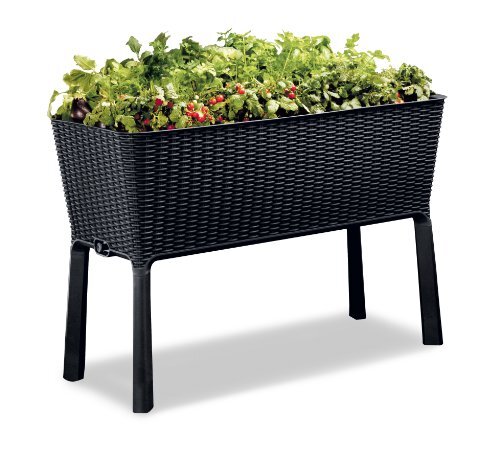 Keter Easy Grow 31.7 Gallon Elevated Garden Bed Planter with Self Watering