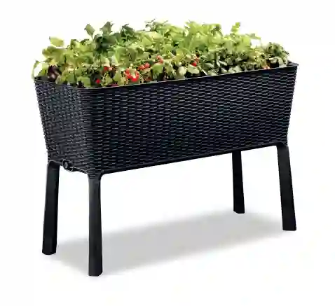 Keter Easy Grow 31.7 Gallon Raised Garden Planter Box with Self Watering System