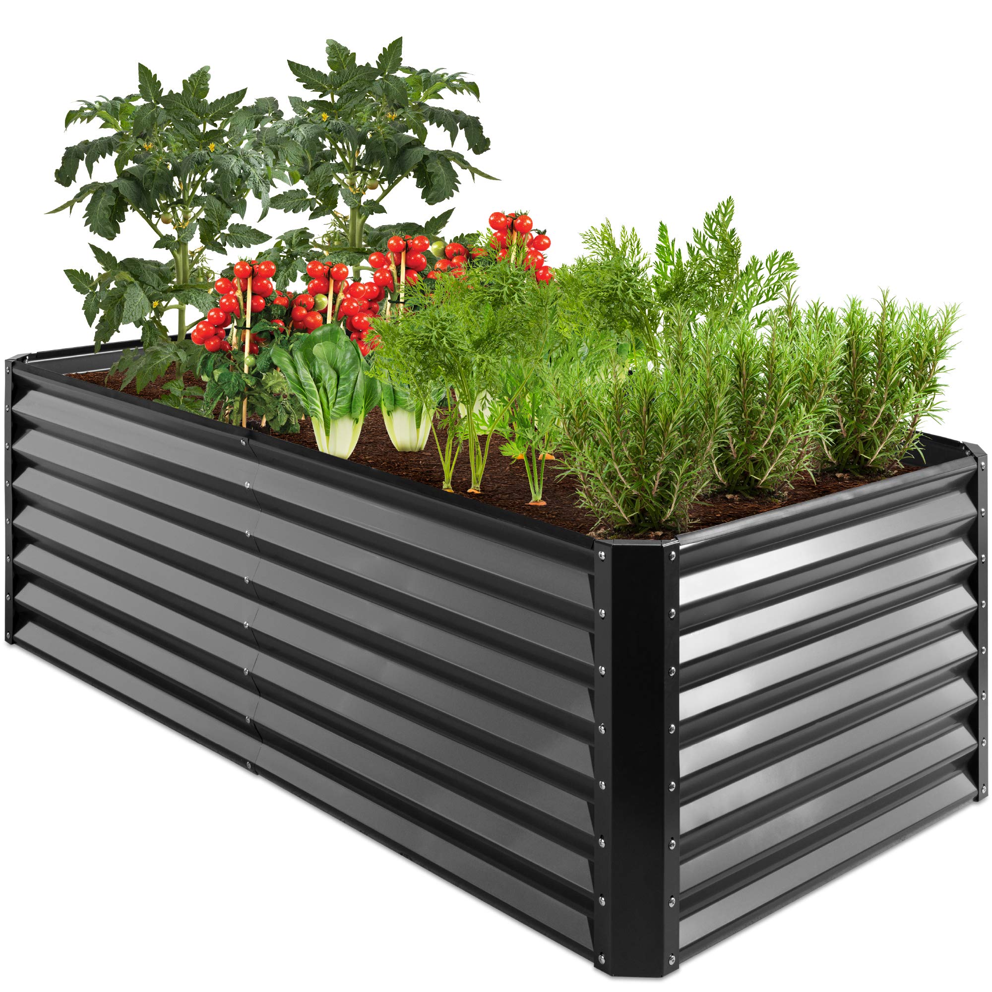 Keter Easy Grow Elevated Garden Planter Box