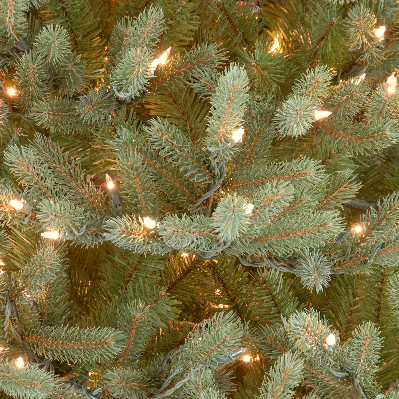 National Tree Company 30-Inch Pre-Lit Norway Spruce Wreath with 50 Clear Lights