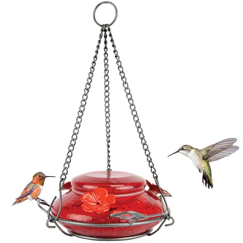 Nature's Way CWF4 Blown Glass Hummingbird Feeder