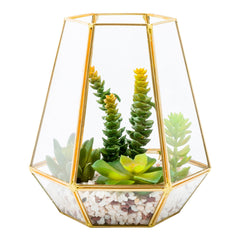 Nearly Natural Succulent Arrangement in Glass Terrarium
