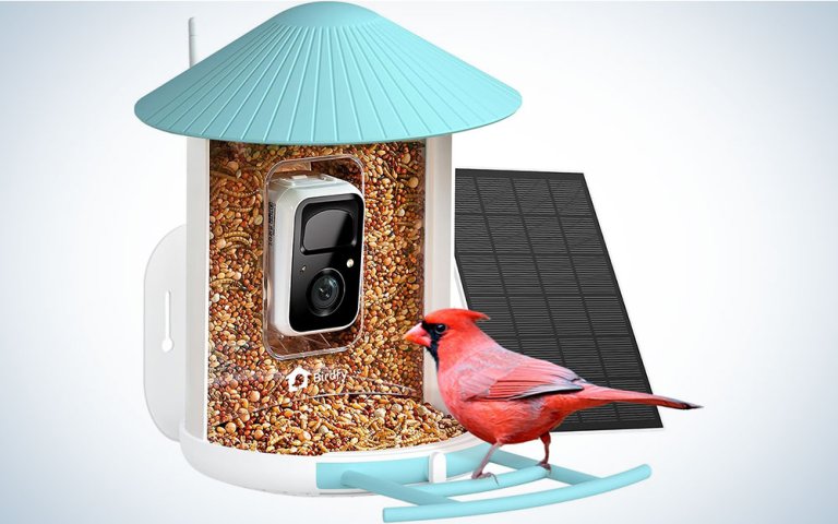 NETVUE Birdfy Smart Bird Feeder with Camera
