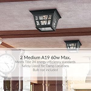Sea Gull Lighting Herrington 4-Light Outdoor Chandelier