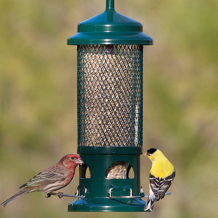Squirrel Buster Standard Bird Feeder
