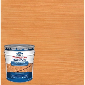 Thompson's WaterSeal Advanced Natural Wood Protector, Clear, 1 Gallon