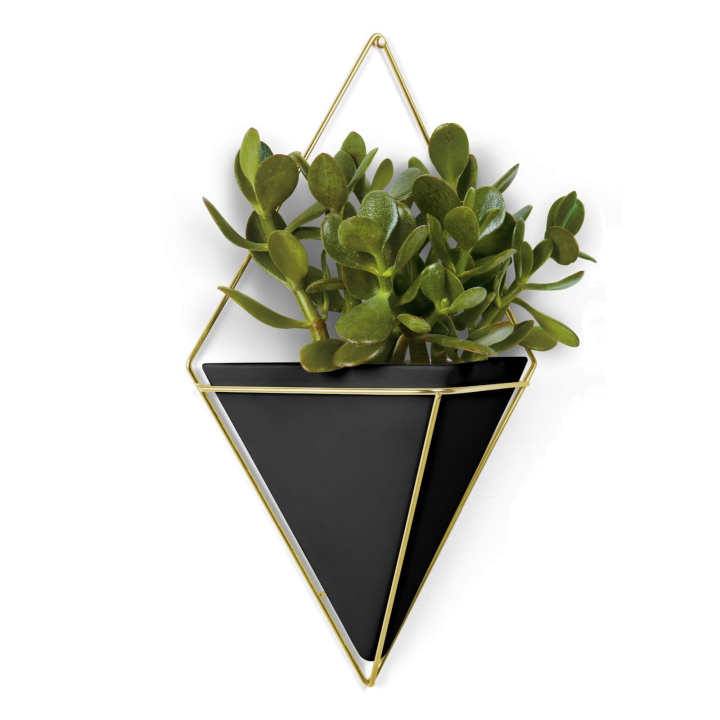 Umbra Trigg Hanging Planter, Brass