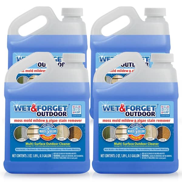 Wet & Forget 803064 Ready to Use Outdoor Cleaner, 1 Gallon
