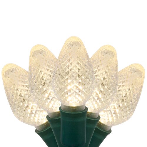 Wintergreen Lighting 25ft C7 LED Outdoor Christmas String Lights Warm White